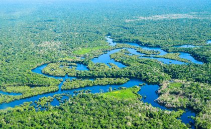 The Amazon rain forest from the air.